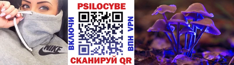 где можно купить   mega ссылка  Галлюциногенные грибы прущие грибы  Байкальск 